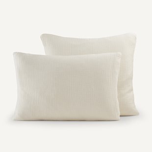 Kussensloop in biologisch tetra, Yafa