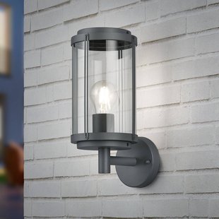 Trio Lighting Buitenwandlamp TANARO, antraciet, hoogte 33 cm, metaal, IP44