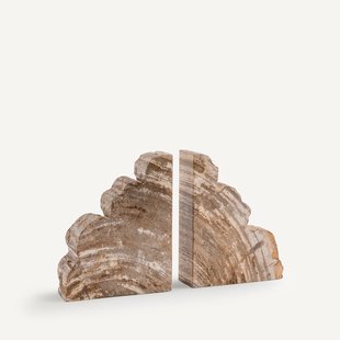 Set van 2 boekensteunen van versteend hout, Kayu