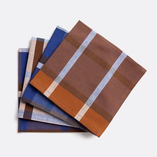 Set van 4 geruite servetten in katoen, Selwyn