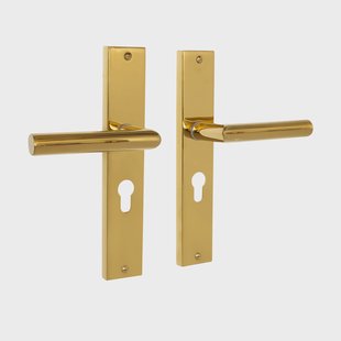 Mooi Deurbeslag Ferro geveerd op schild cilindergat 55mm messing PVD