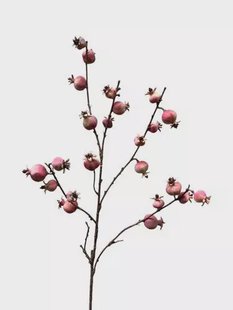 Kunstbloem Granaatappel - Roze - 95 cm