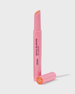 HEMA Glossy lipplump 76 pumpkin spice (oranje)