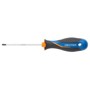 Dexter Torx Schroevendraaier - T20 - 100mm - Magnetisch