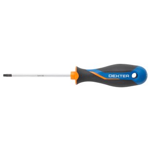 Dexter Torx Schroevendraaier - Torx T15 - 80mm - Magnetisch
