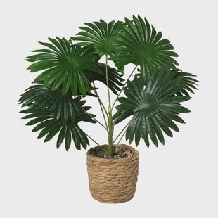 Kunstplant palm - groen - ø11.5x38 cm