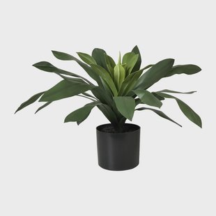 Kunstplant aloe vera - groen - ø15x35 cm