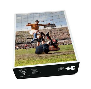 Puzzel (1.000 stukjes): Abe Lenstra, FC Kluif