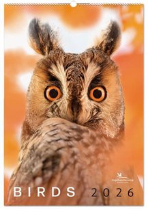Birds posterkalender 2026, Vogelbescherming