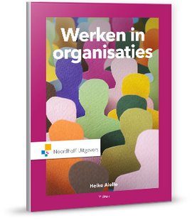 Werken in Organisaties
