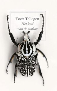 Het leed van de stoftor