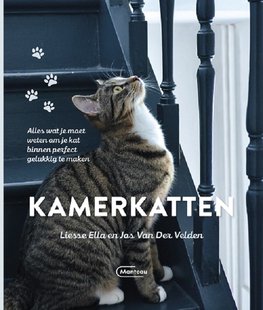 Kamerkatten