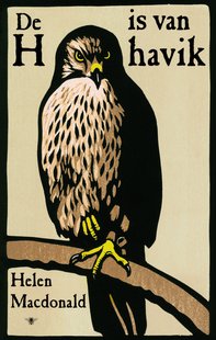 De H is van havik