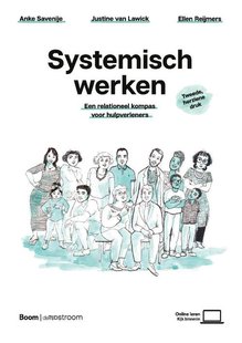 Systemisch werken