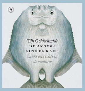 De andere linkerkant