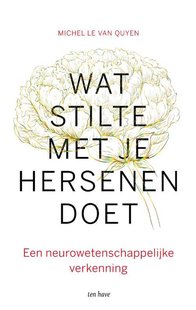 Wat stilte met je hersenen doet