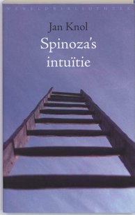 Spinoza's intuitie