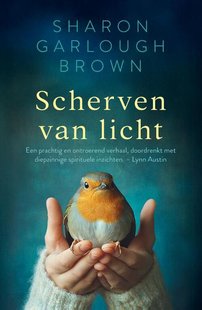 Scherven van licht