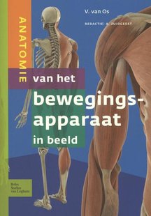 Anatomie van het bewegingsapparaat in beeld
