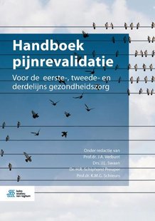 Handboek pijnrevalidatie