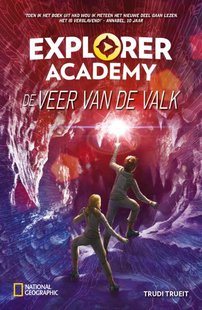 De veer van de valk