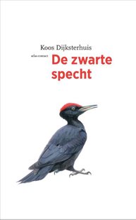 De zwarte specht