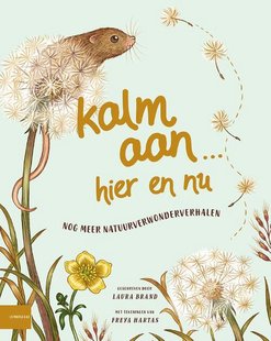 Kalm aan… Hier en nu