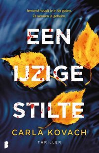 Gina Harte 13 - Een ijzige stilte