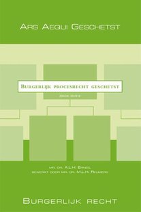 Burgerlijk procesrecht geschetst