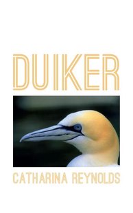 Duiker