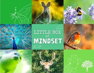 Little Box of Mindset