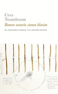 Bomen waarin stenen bloeien