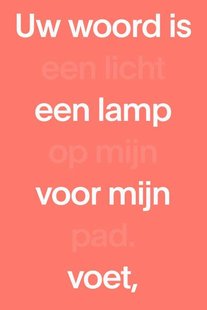 NBV21 Midsize Paperback