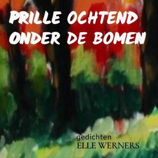 Prille Ochtend Onder De Bomen