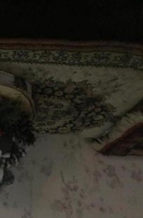 Het Meisje Dat Kerst Vierd