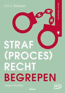 Straf(proces)recht begrepen