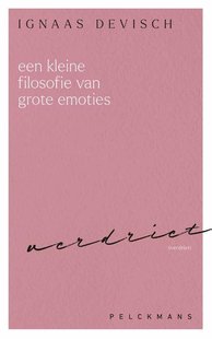 Een kleine filosofie van grote emoties: Verdriet
