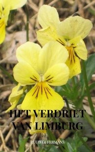 Het verdriet van Limburg