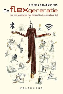 De flexgeneratie