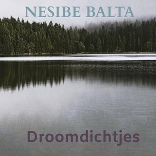 Droomdichtjes
