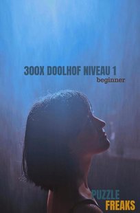 300X Doolhof Niveau 1