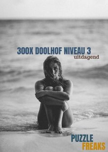 300X Doolhof Niveau 3