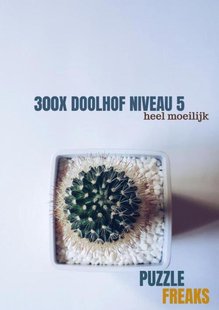 300X Doolhof Niveau 5