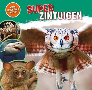 Superzintuigen