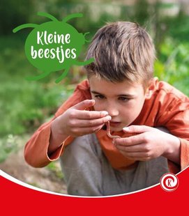Kleine beestjes