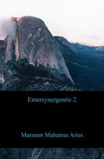 Emersynergentie 2