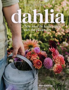 Dahlia
