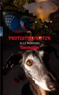 Protestgedichten
