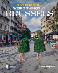 (Even more) weird things in Brussels