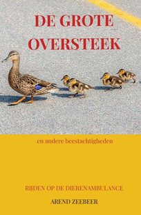 De Grote Oversteek